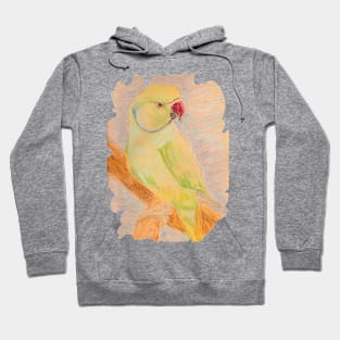 Indian parrot Hoodie